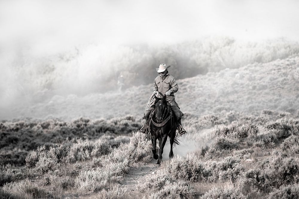 Cowboy art print by Danita Delimont for $57.95 CAD