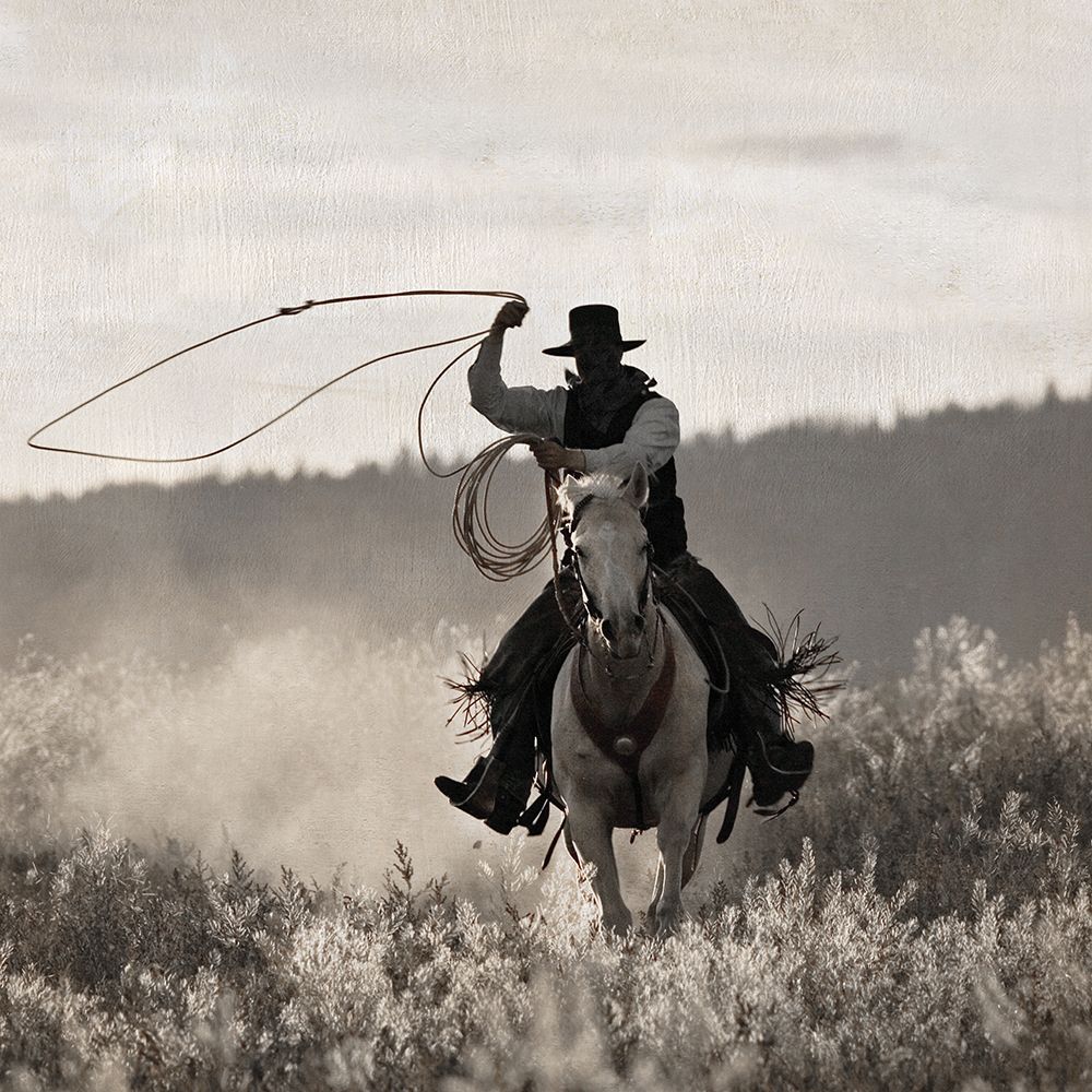 Ponderosa Cowboy art print by Danita Delimont for $57.95 CAD