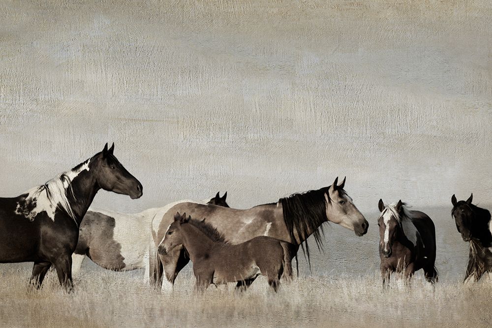 Ranging Free art print by Danita Delimont for $57.95 CAD