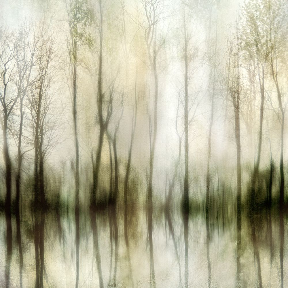 Misty art print by Irene Weisz for $57.95 CAD