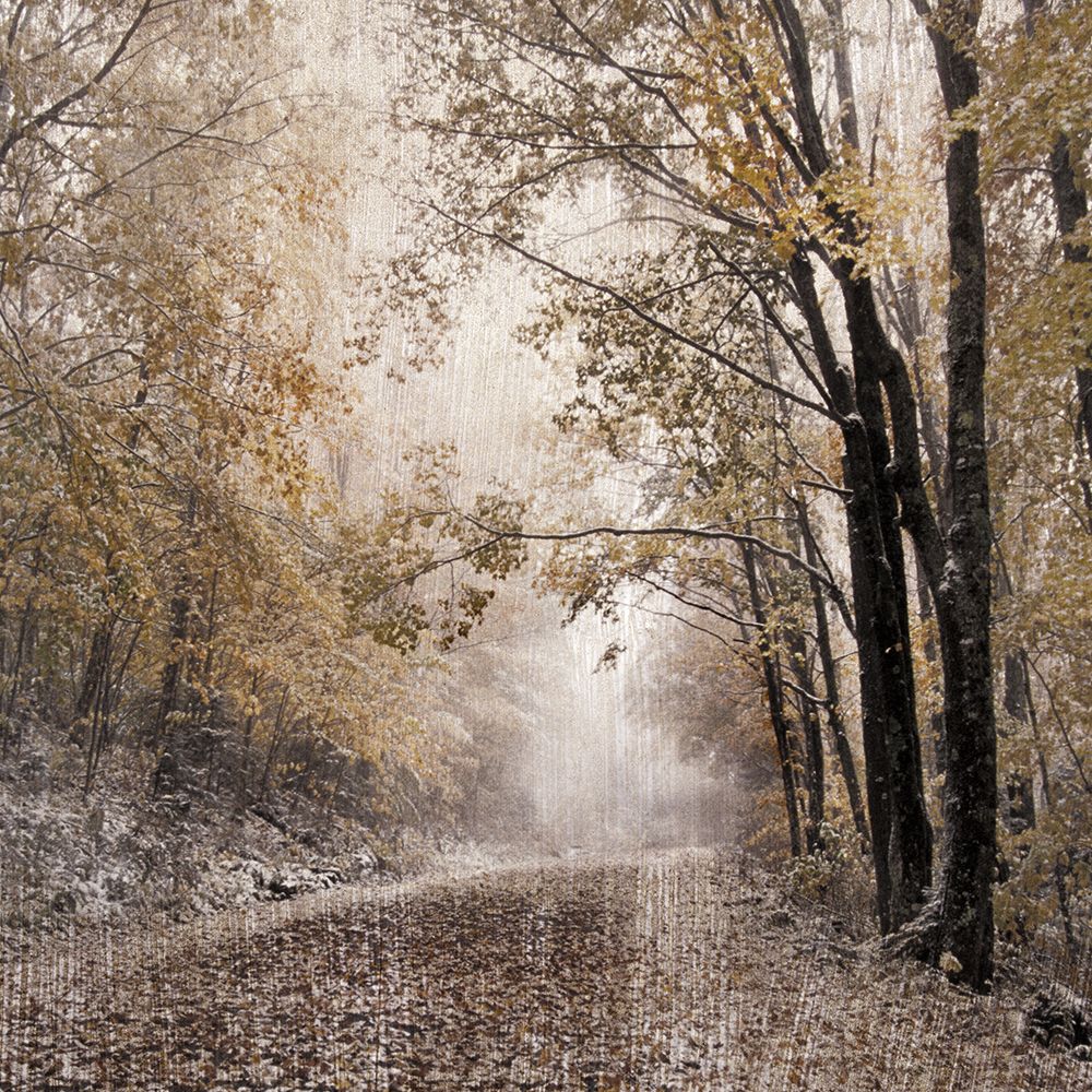 Burke Mountain art print by Danita Delimont for $57.95 CAD