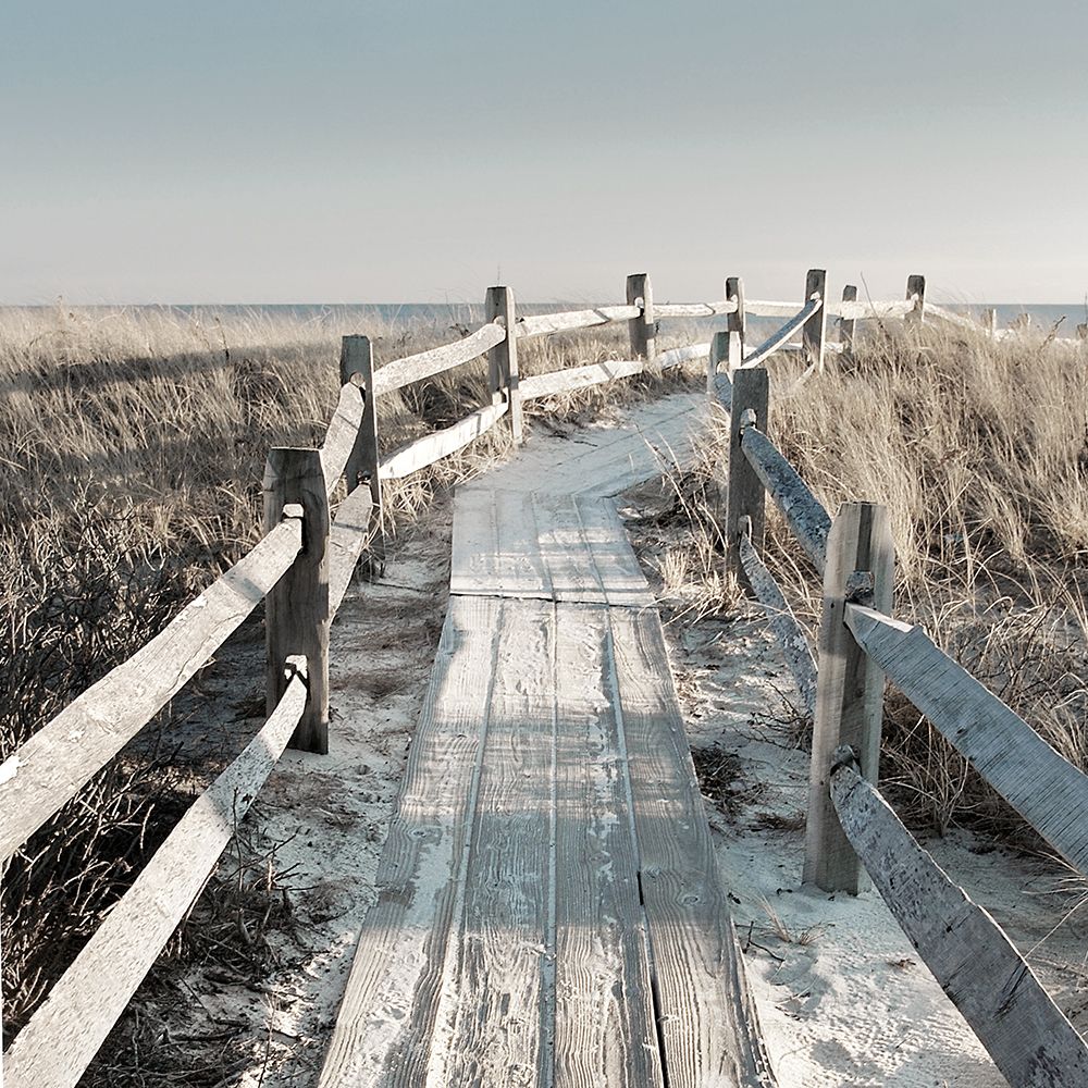 Sunset Beach art print by Danita Delimont for $57.95 CAD