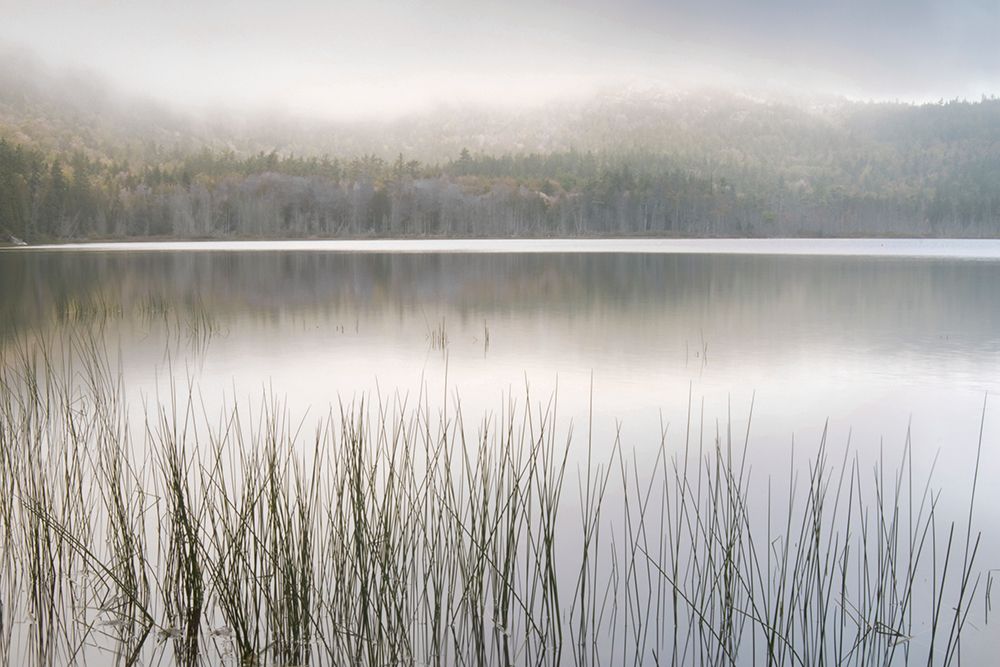 Lake Fog art print by Danita Delimont for $57.95 CAD