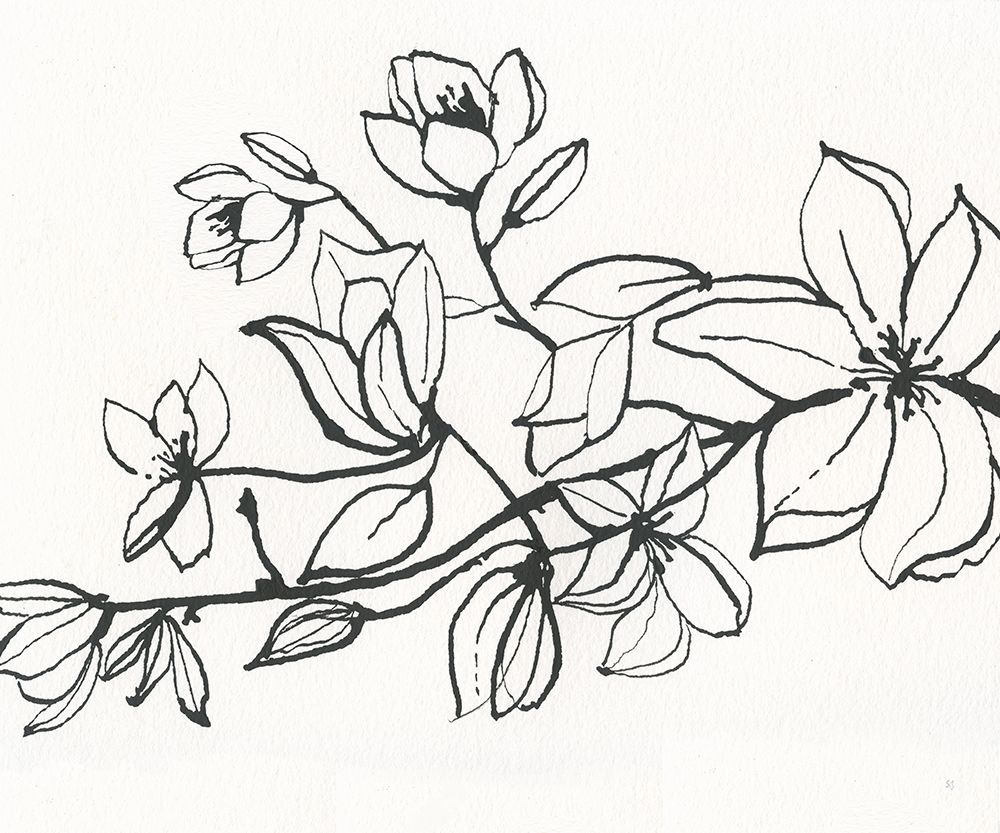 Magnolia art print by Susan Jill for $57.95 CAD