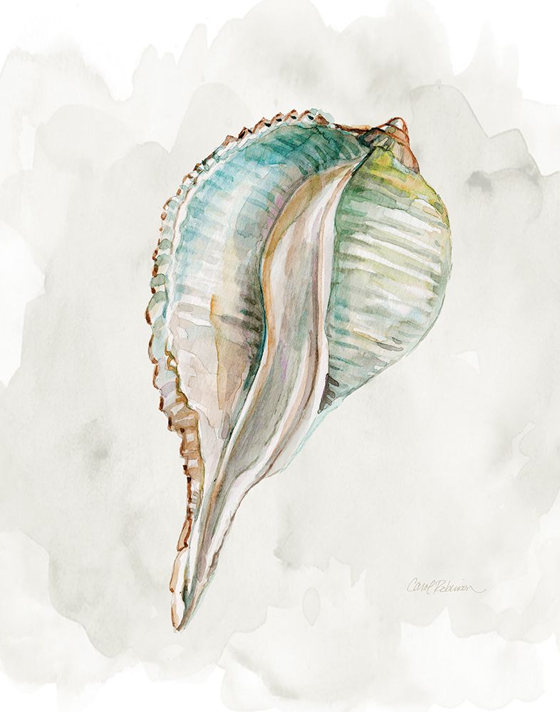 Pastel Shell I art print by Carol Robinson for $57.95 CAD