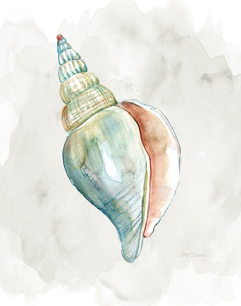 Pastel Shell II art print by Carol Robinson for $57.95 CAD