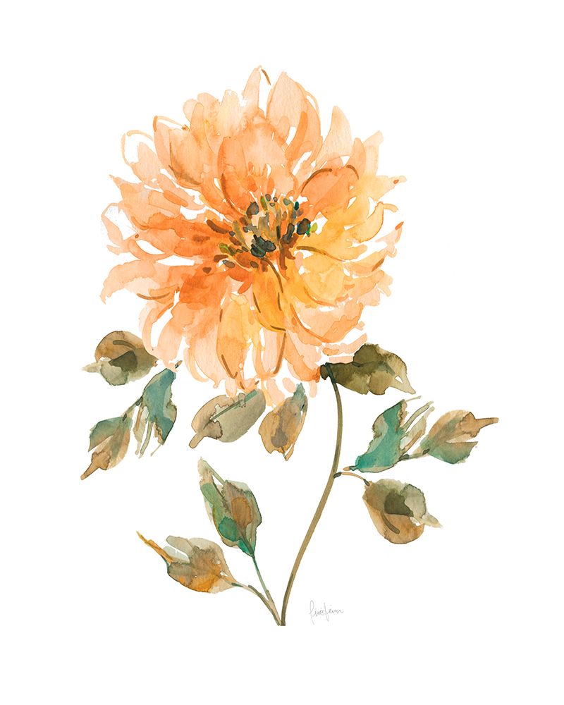 Bright Botanical I art print by Livi Finn for $57.95 CAD