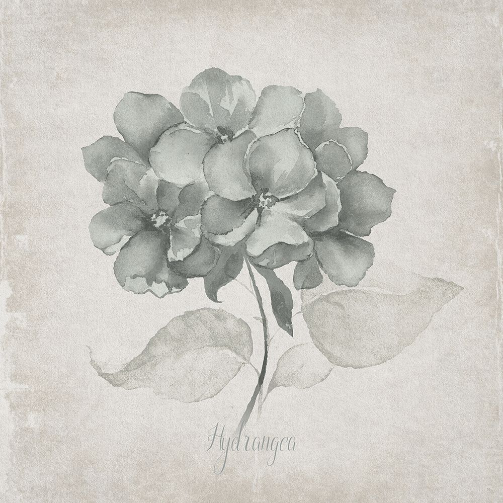 Vintage Hydrangea art print by Susan Jill for $57.95 CAD