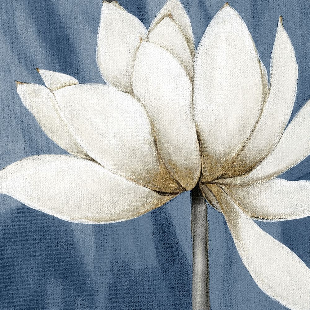 Regal Waterlily II art print by Carol Robinson for $57.95 CAD
