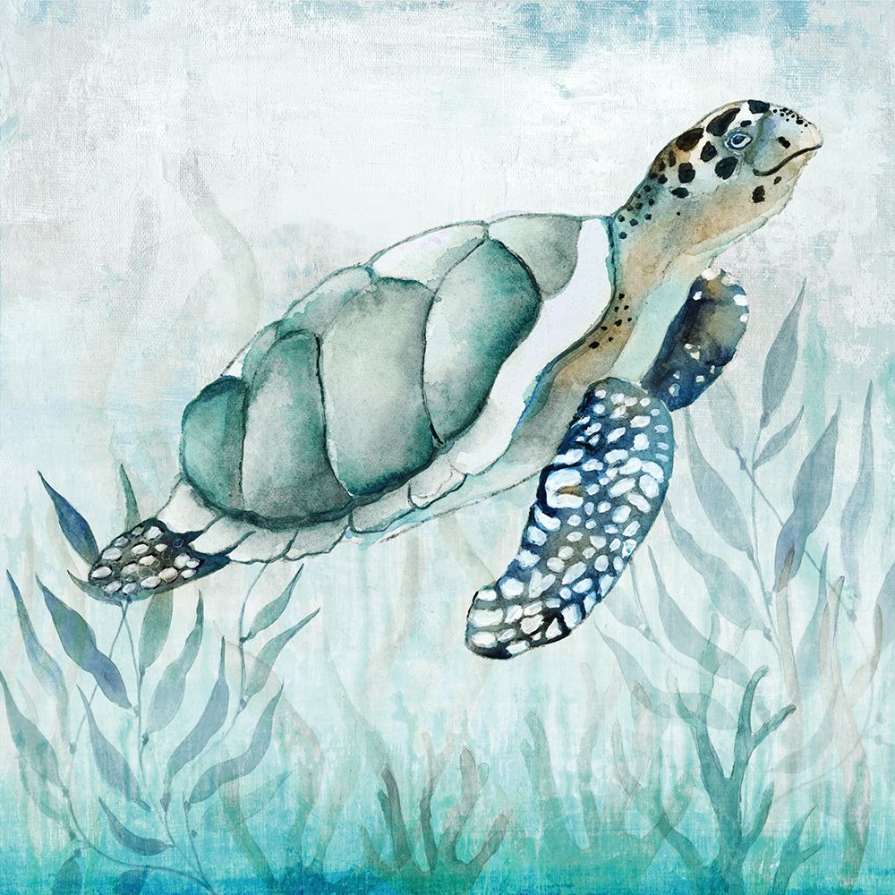 Coastal Turtle I art print by Tava Studios for $57.95 CAD
