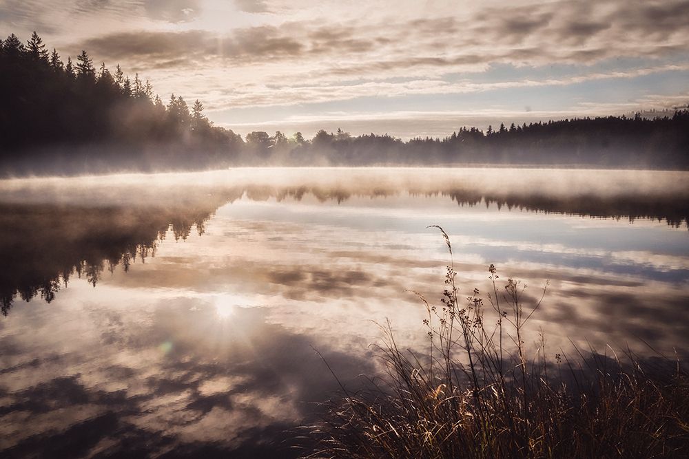Daybreak art print by Irene Weisz for $57.95 CAD