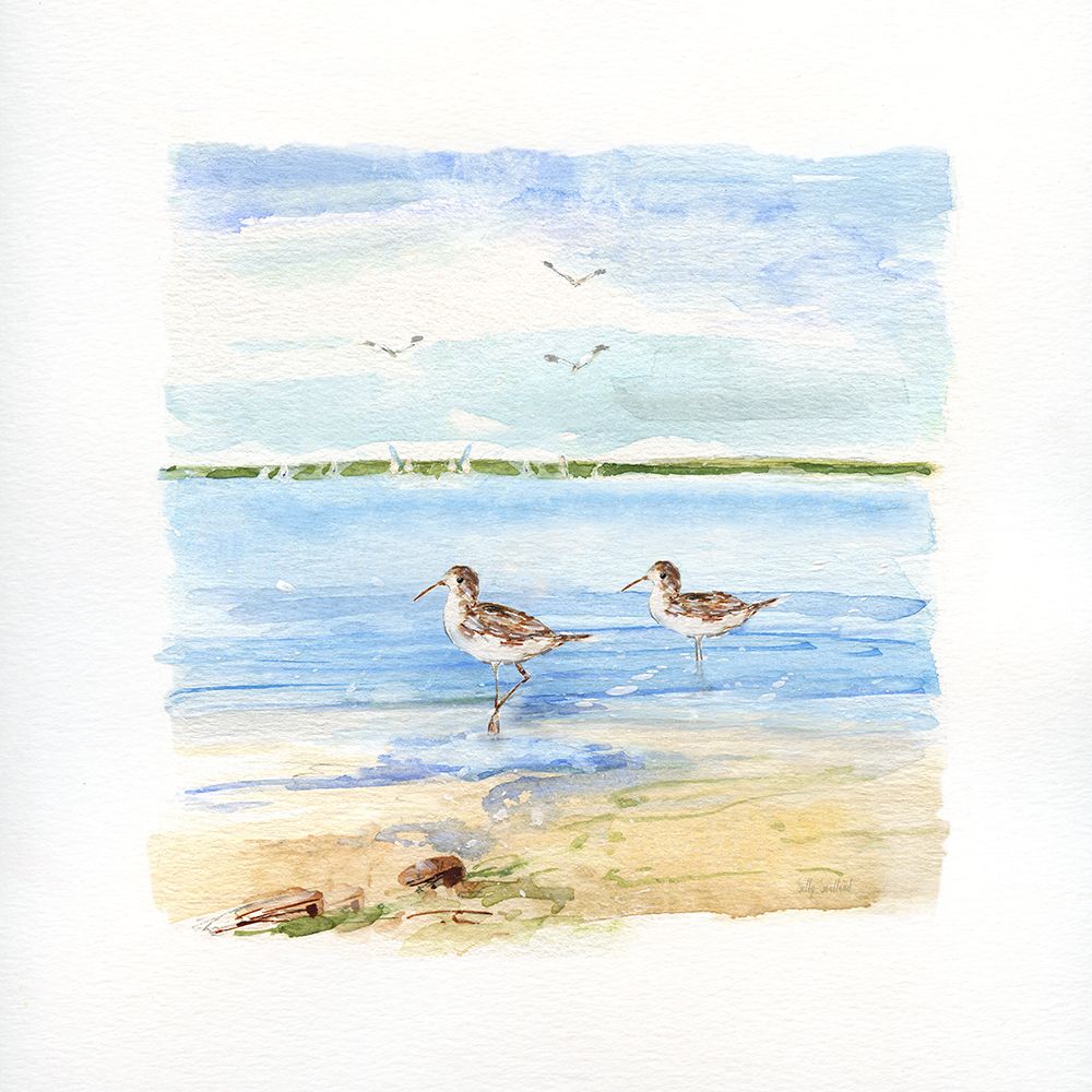 Sandpiper Beach II art print by Sally Swatland for $57.95 CAD