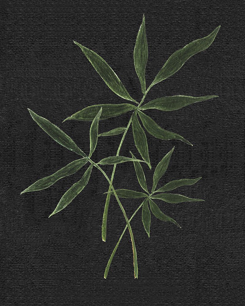 Simple Tropics II art print by Tava Studios for $57.95 CAD