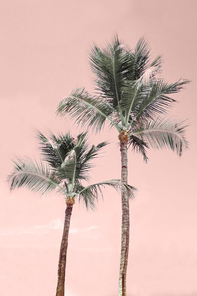 Aruba Pinks art print by Natalie Carpentieri for $57.95 CAD