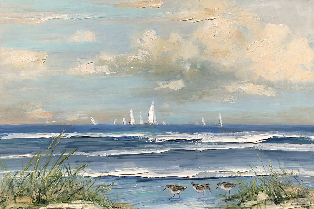 Ocean Regatta art print by Sally Swatland for $57.95 CAD
