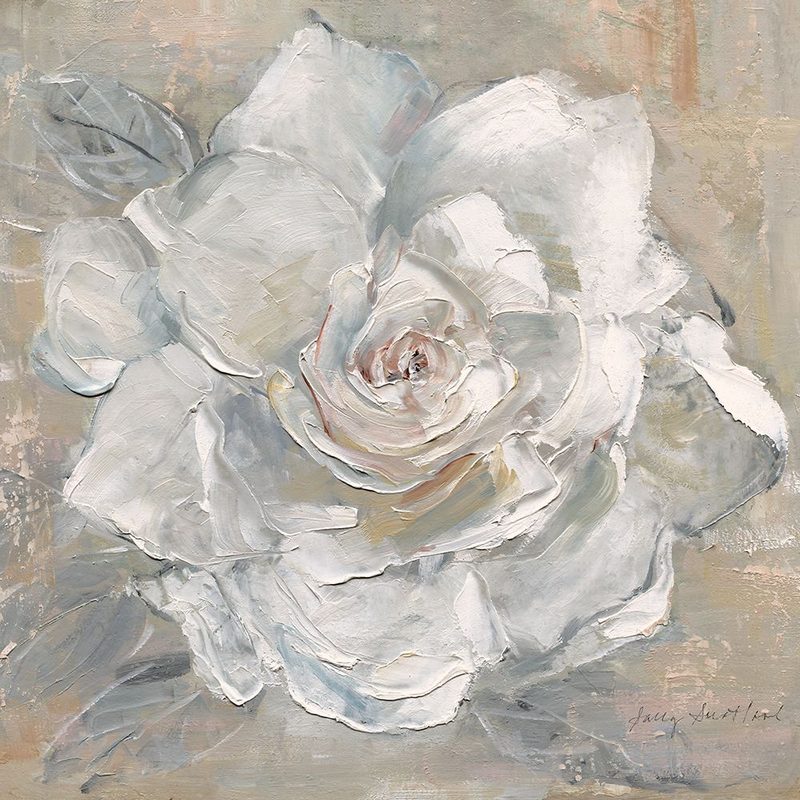 Gardenia Blush art print by Sally Swatland for $57.95 CAD