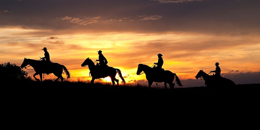 Sunset Cowboys art print by Danita Delimont for $57.95 CAD