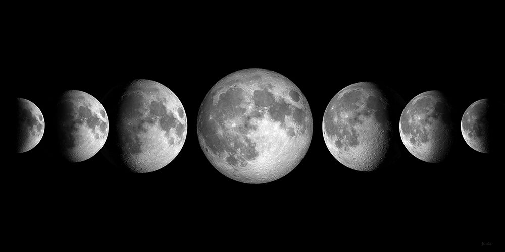 Lunar Phases art print by Daniela Santiago for $57.95 CAD