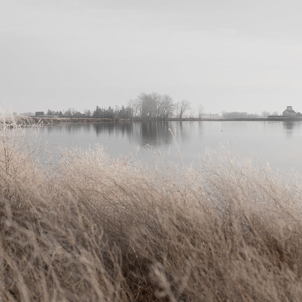 Distant Farm art print by Carol Robinson for $57.95 CAD