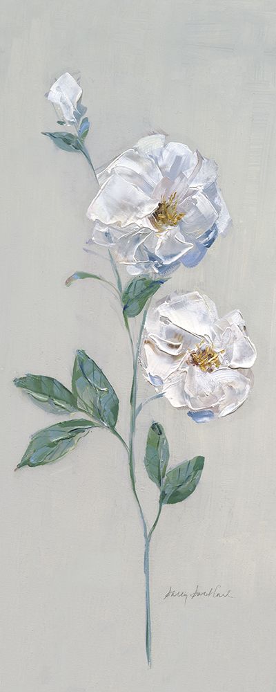 Duchess Roses I art print by Sally Swatland for $57.95 CAD