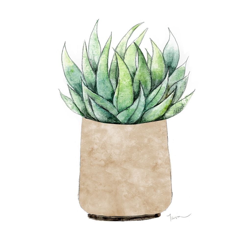 Neutral Cactus II art print by Tava Studios for $57.95 CAD