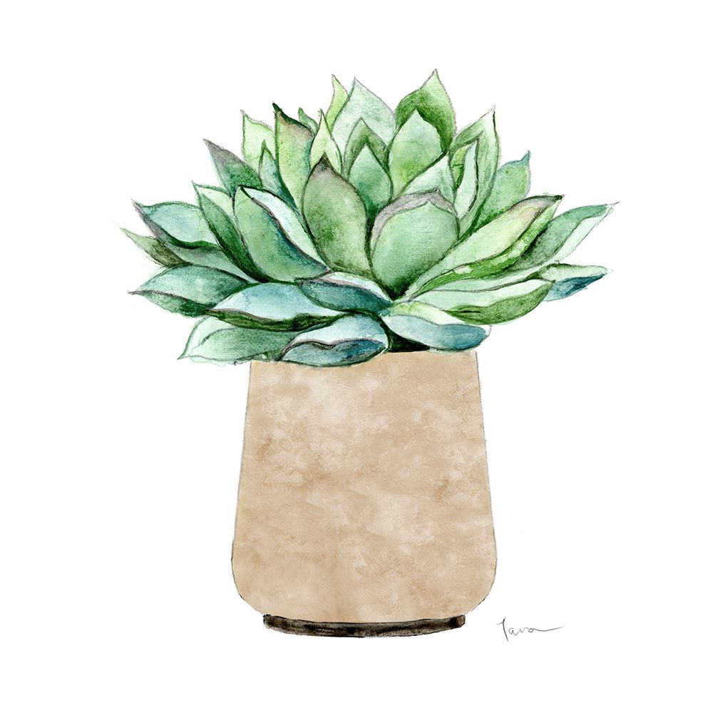 Neutral Cactus III art print by Tava Studios for $57.95 CAD