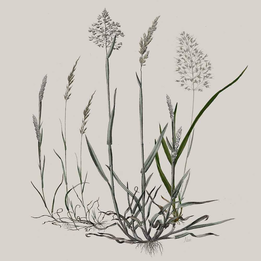 Field Study I art print by Nan for $57.95 CAD