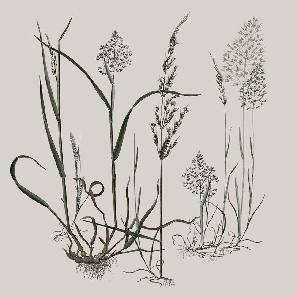 Field Study II art print by Nan for $57.95 CAD