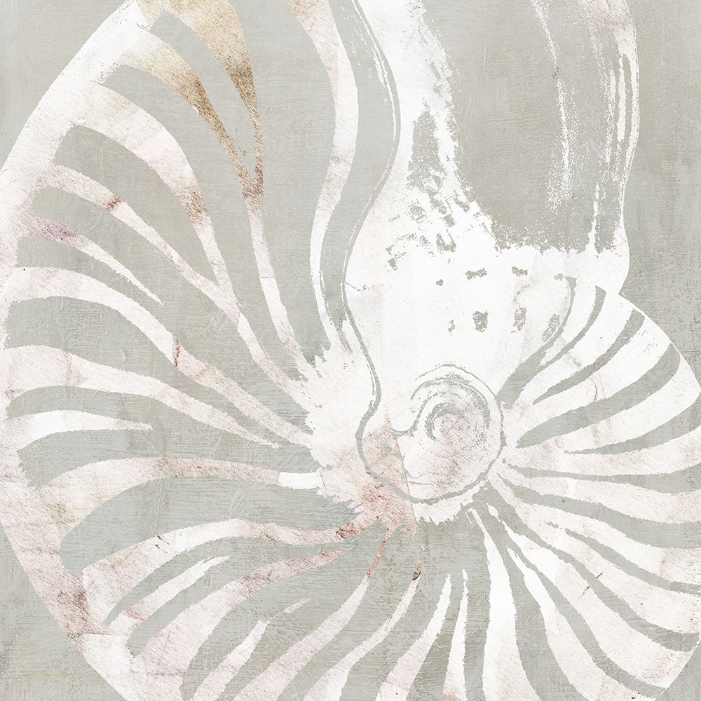 Seashell Close Up I art print by Carol Robinson for $57.95 CAD