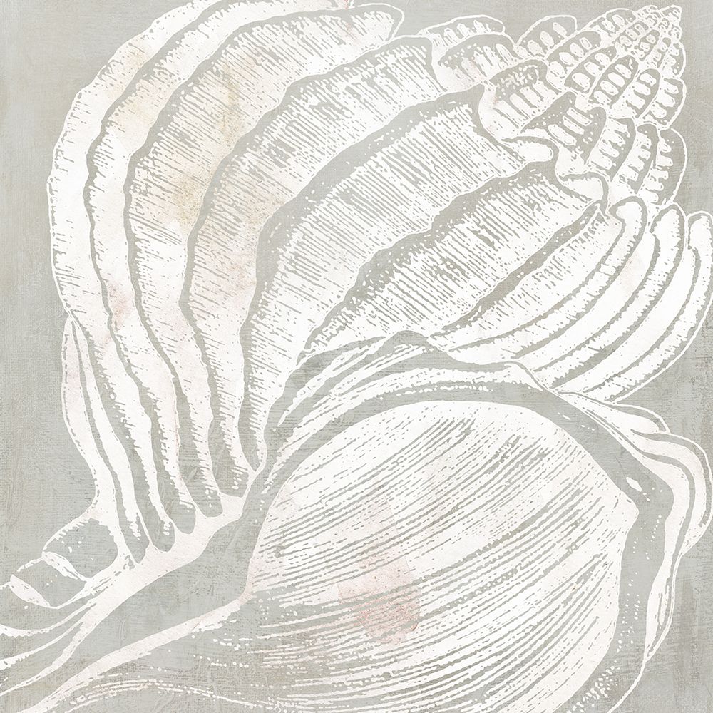 Seashell Close Up II art print by Carol Robinson for $57.95 CAD