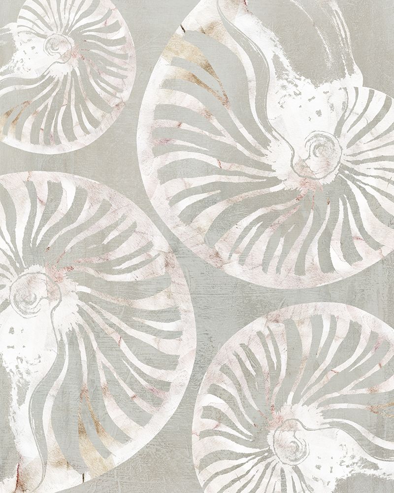Nautilus Shell Collection art print by Carol Robinson for $57.95 CAD