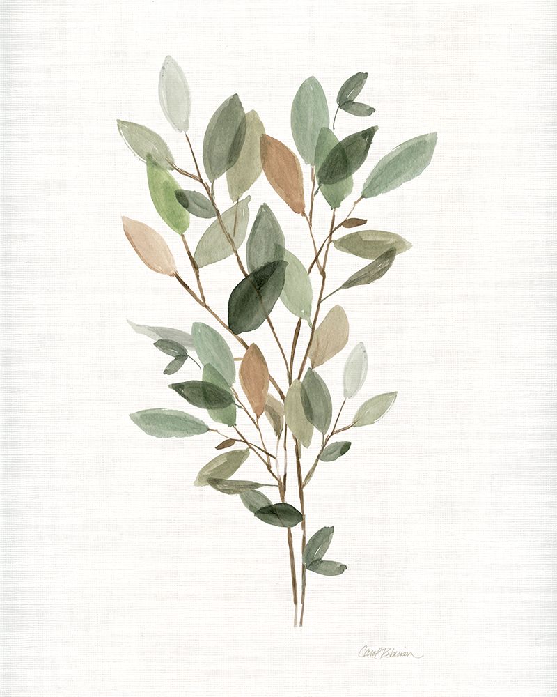 Leafy Botanical II art print by Carol Robinson for $57.95 CAD