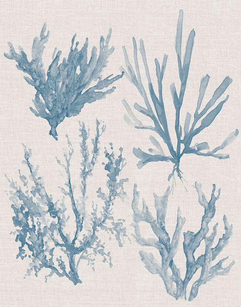Sea Coral Collection I art print by Carol Robinson for $57.95 CAD