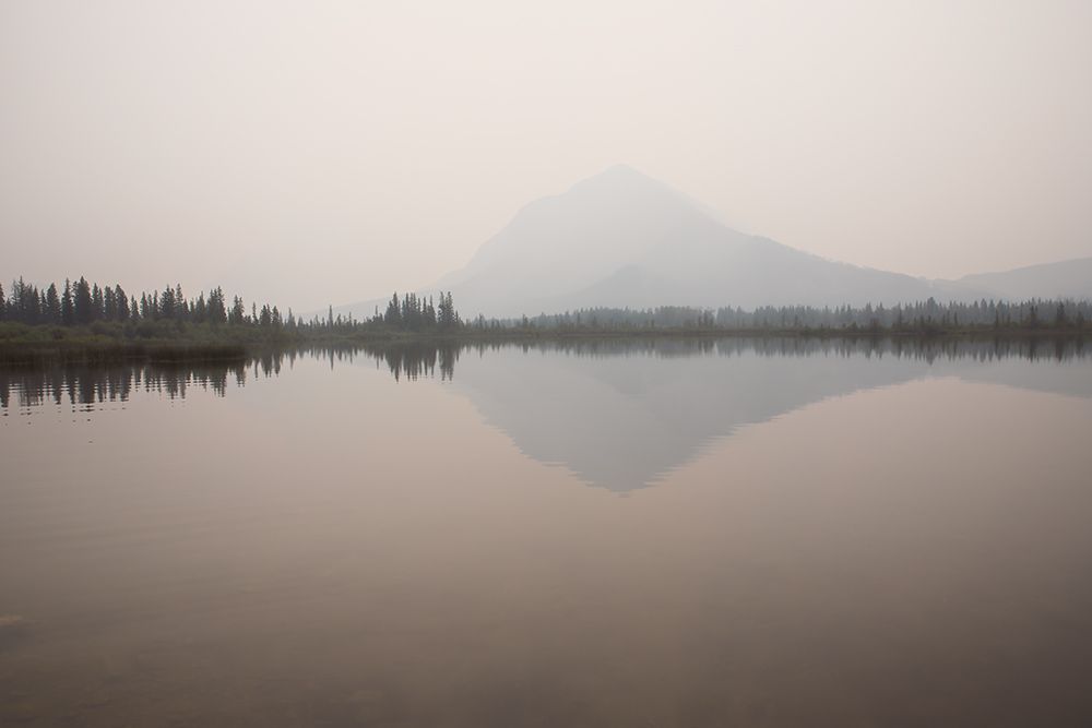Dawn Reflection art print by Carol Robinson for $57.95 CAD