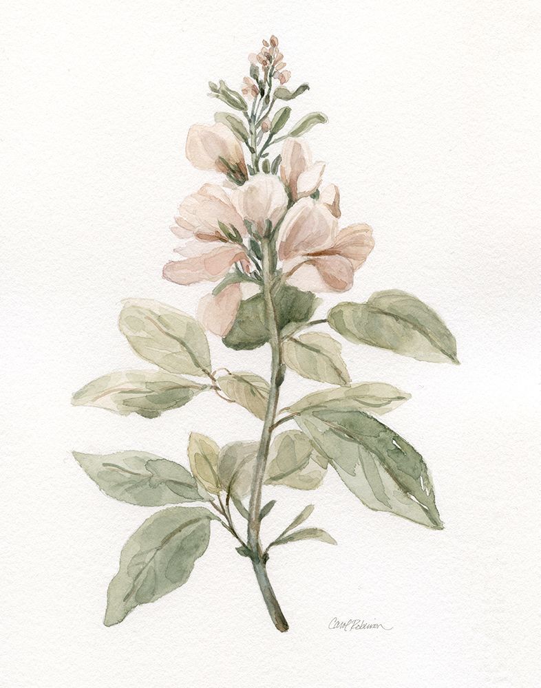 Flea Market Botanical I art print by Carol Robinson for $57.95 CAD