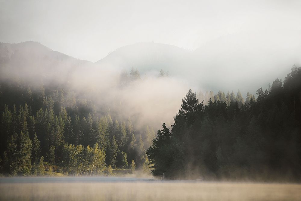 Misty Serenity art print by Carol Robinson for $57.95 CAD