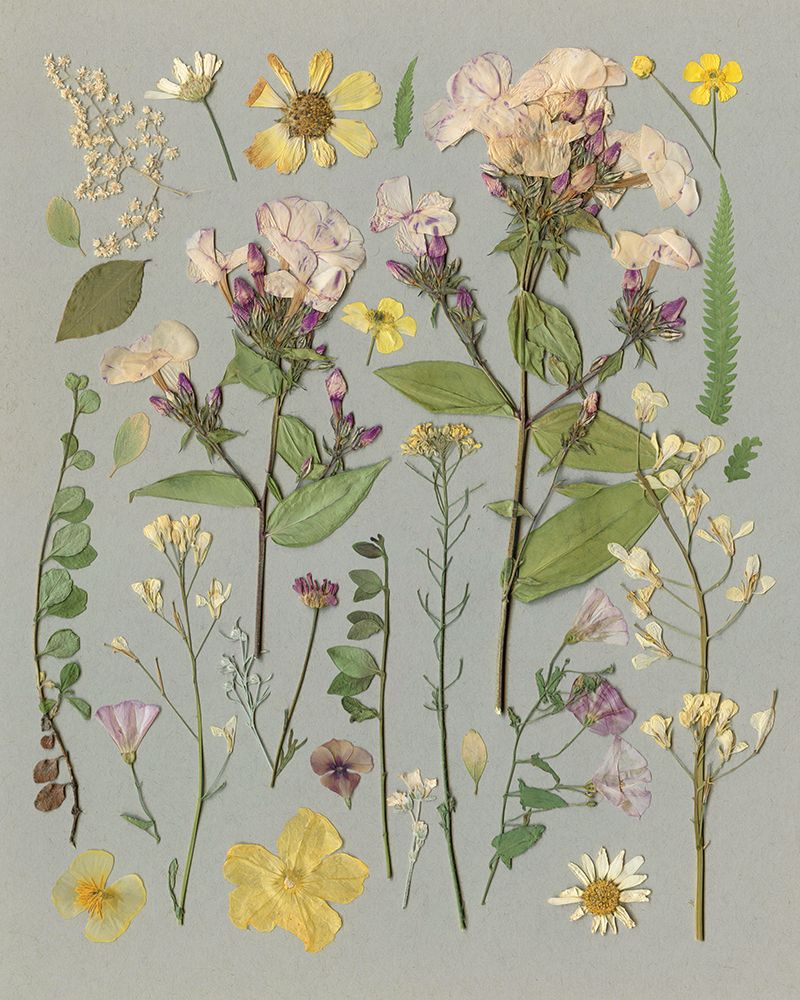Organic Study II art print by Carol Robinson for $57.95 CAD