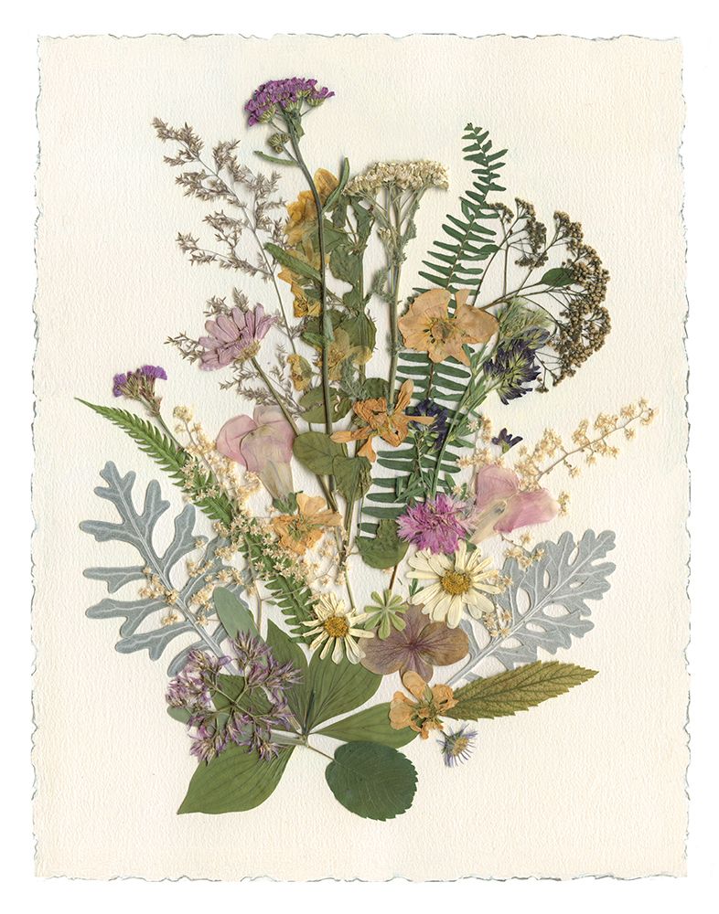 Organic Bouquet I art print by Carol Robinson for $57.95 CAD