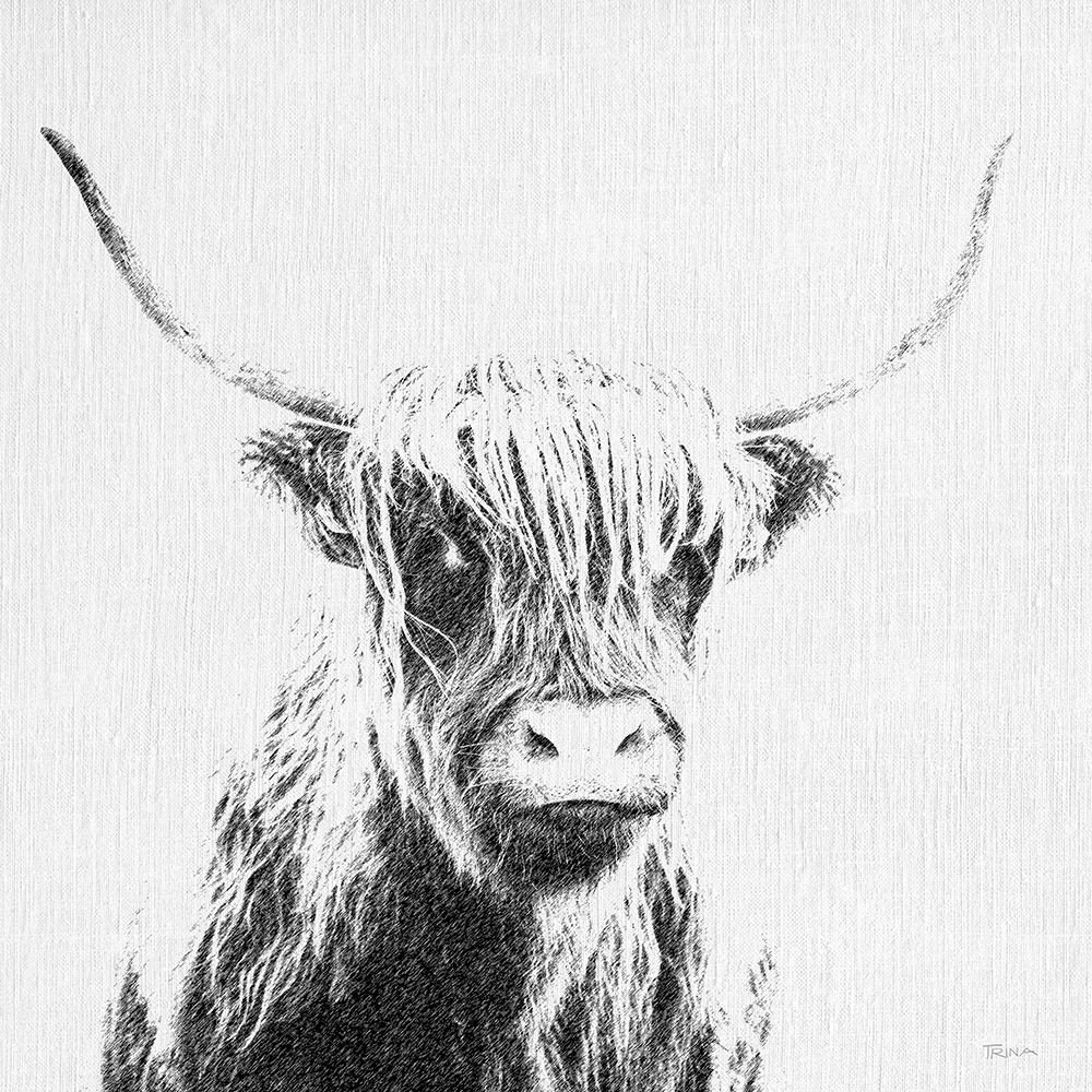 Graphite Highland Cow art print by Katrina Craven for $57.95 CAD