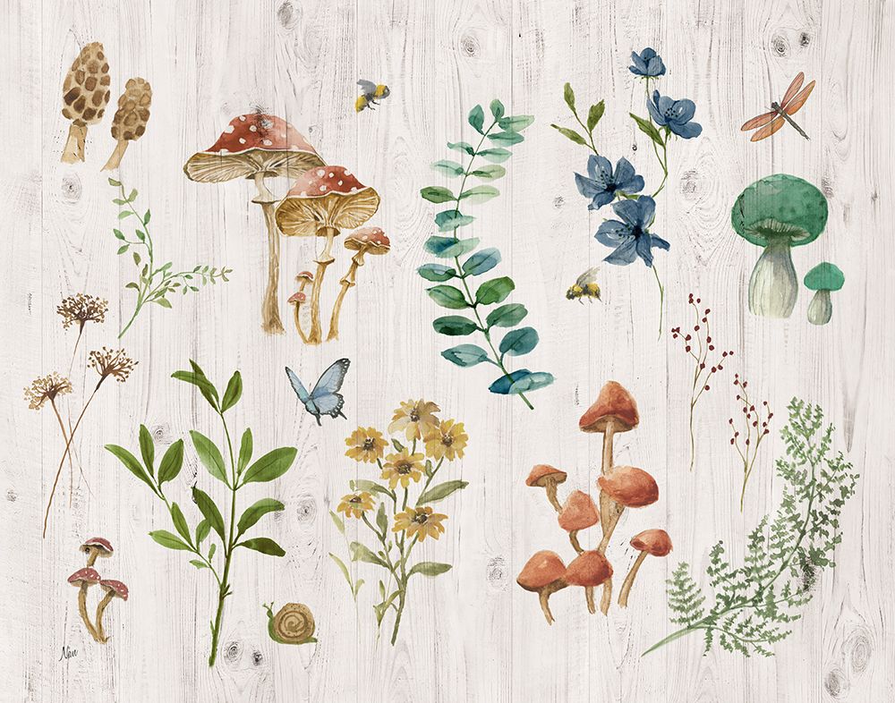 Woodland Treasures art print by Nan for $57.95 CAD