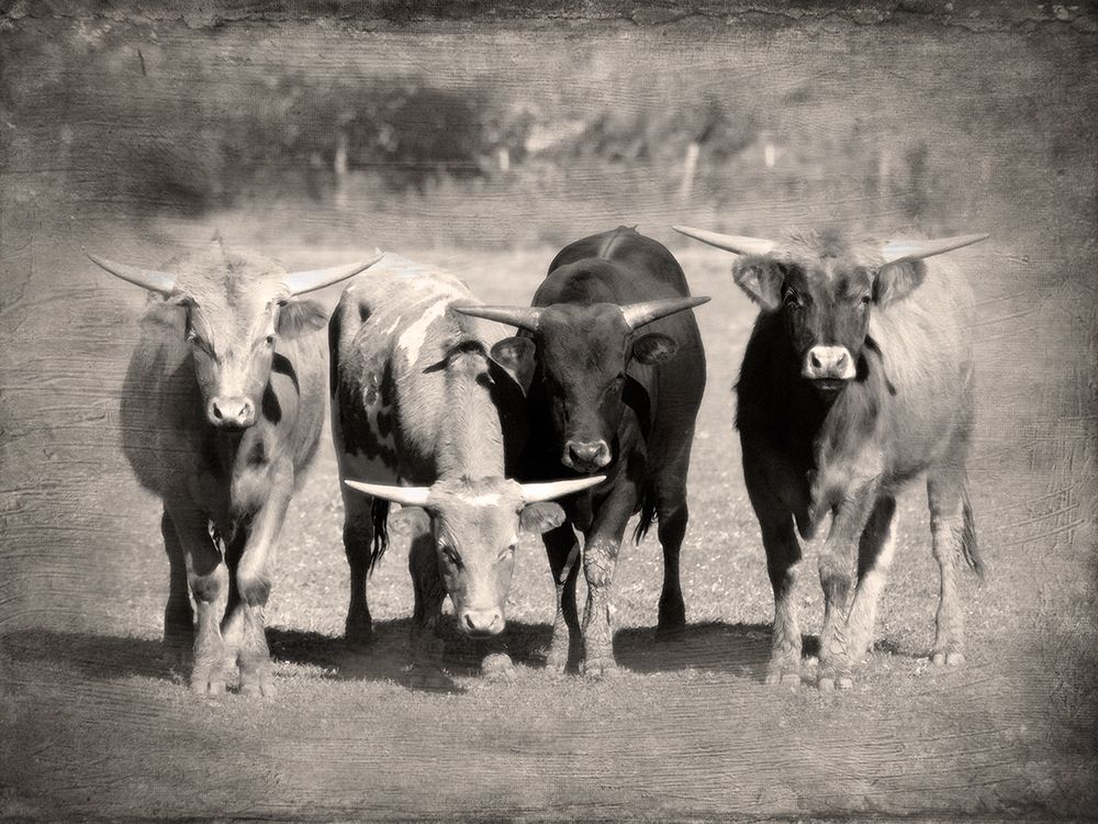 Home Sweet Home art print by Rhonda Addison for $57.95 CAD