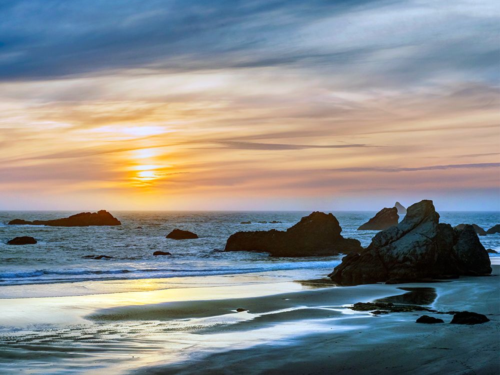 Harris Beach art print by Danita Delimont for $57.95 CAD