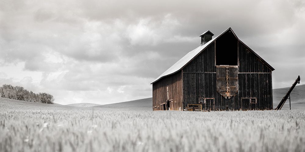 Ready for Harvest art print by Danita Delimont for $57.95 CAD