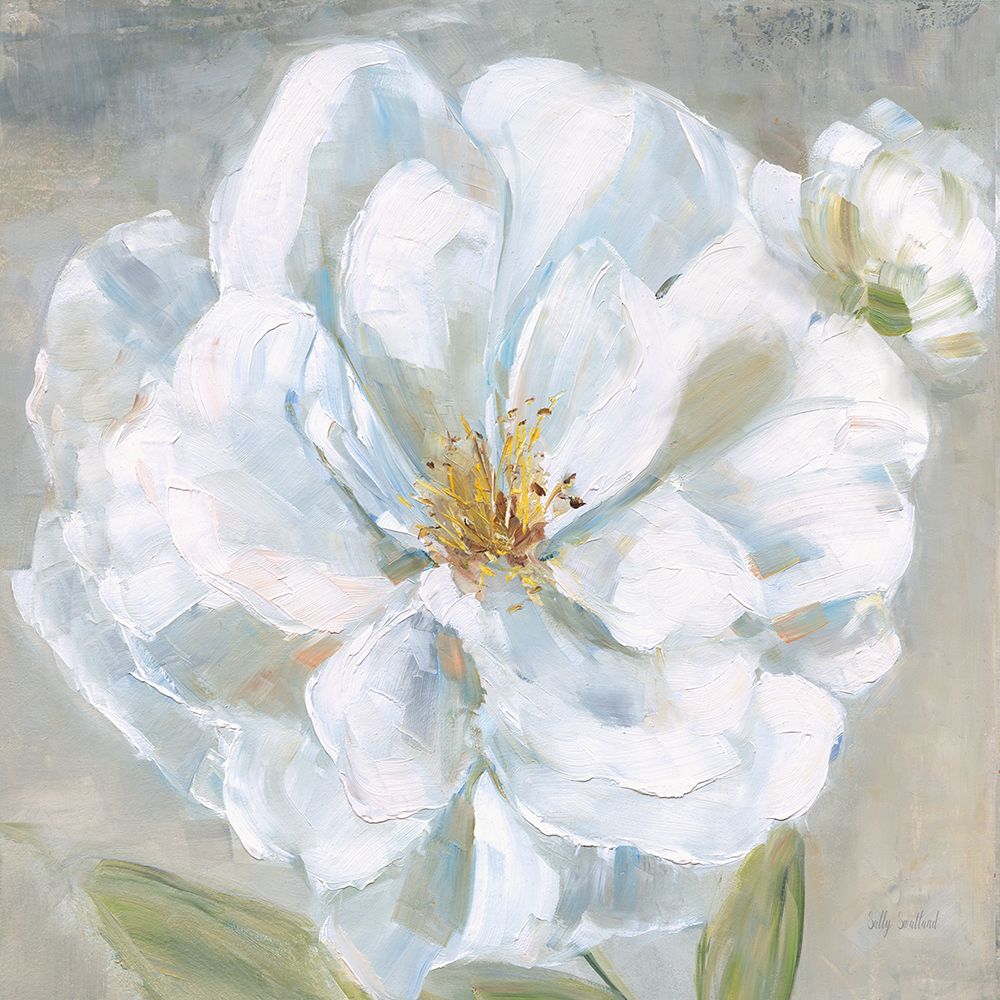 Garden Queen I art print by Sally Swatland for $57.95 CAD