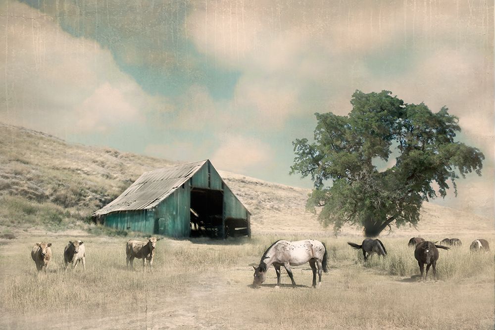 Barn Charm art print by Rhonda Addison for $57.95 CAD
