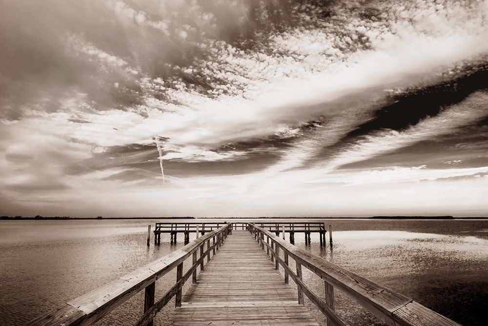 Terra Ceia Dawn art print by Danita Delimont for $57.95 CAD
