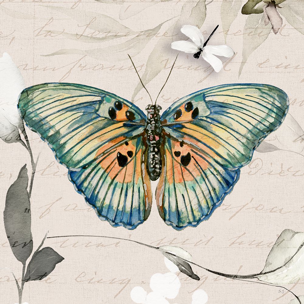 Papillon II art print by Susan Jill for $57.95 CAD