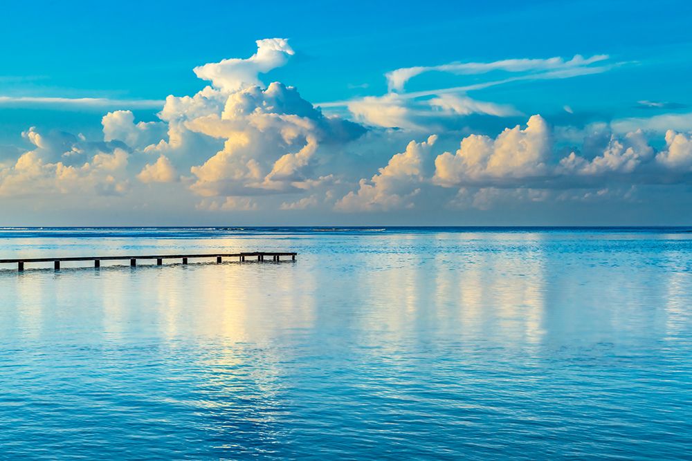 Sunrise Dock art print by Danita Delimont for $57.95 CAD