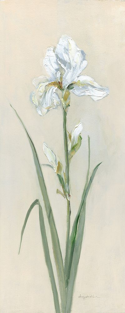 Iris Sibirica I art print by Sally Swatland for $57.95 CAD