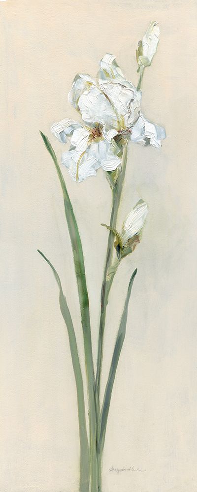 Iris Sibirica II art print by Sally Swatland for $57.95 CAD